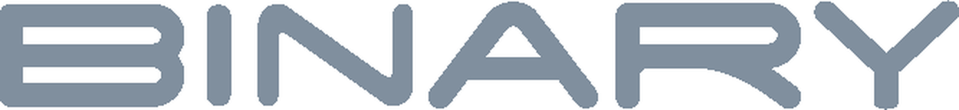 Binary logo